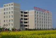 2025年陕西航空职业技术学院单招专业