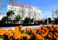 2015年陕西财经职业技术学院单招招生简章